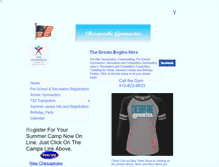 Tablet Screenshot of chesapeakegymnastics.net